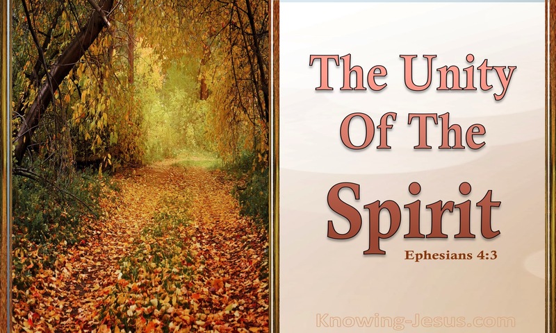 Ephesians 4:3 The Unity Of The Spirit (orange)